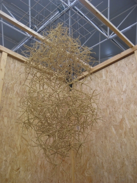 arte vegetal